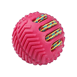 Eastland Plastik Top Köpek Oyuncağı 8,5 cm