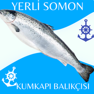 1 KG ÇİĞ YERLİ SOMON