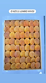 0 NO'LU  MALATYA KAYSI (KUTU İÇİ=5 KG)