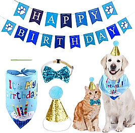 Evcil Hayvan Doğum Günü Süs Malzeme Seti