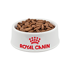 Açık Royal Canin Medium Açık Yetişkin Köpek Maması