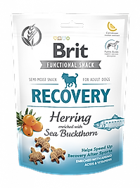 BRIT RECOVERY