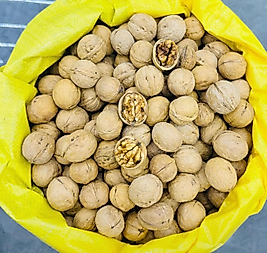 SARI ÇUVAL ÇİN CEVİZİ (ÇUVAL=25 KG)