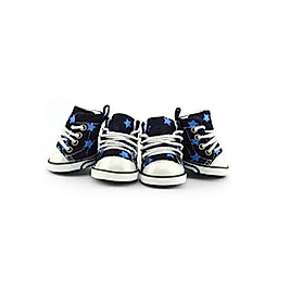 Bobo Takım Ayakkabı Converse Stil