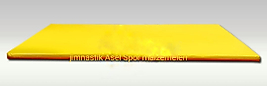100×200×5cm Minder 1100 Danste Polyester 23 Danste sünger