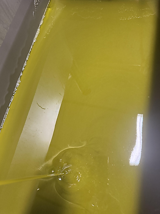 5 litre Yeni Erken hasat