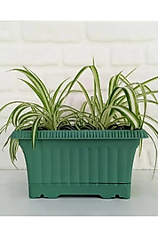 Ova Balkon Saksı No:1 – 27x16 cm, 3.5 Litre Dikdörtgen Saksı