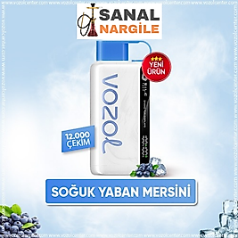 Vozol 12000 Puff Blue Razz ice