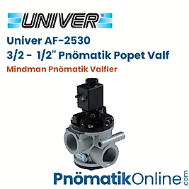 Univer AF-2530 | 1/2" Pnömatik Popet Valf