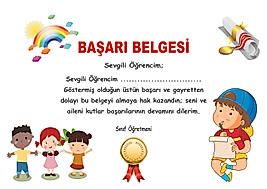 BAŞARI BELGESİ