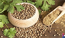 Kişniş (Küzbara) kg