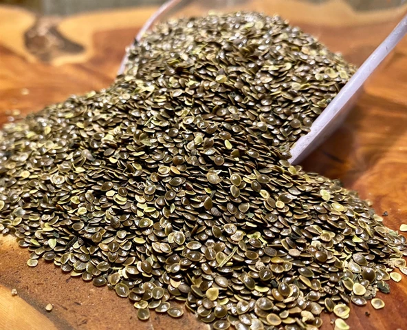 ISIRGAN TOHUMU 100 GR