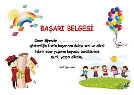 BAŞARI BELGESİ