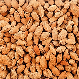 Badem Kabuklu Kavrulmuş