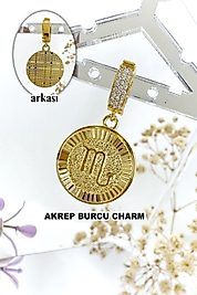 Akrep Burcu Zirkon Taşlı Çelik Charm