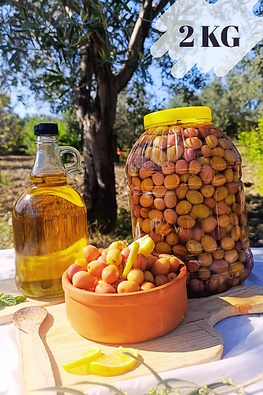 ŞAMPİYON DOMAT ÇİZİK YEŞİL ZEYTİN 2 KG