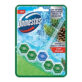 Domestos Tuvalet Bloğu Çam Ormanı 50 G