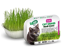 Hobi Fileli Kedi Çimi Cat Grass Ekonomik