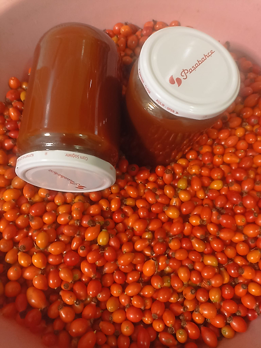 Kuş Burnu Marmelatı