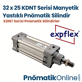 Expflex KDNT 32x25 Manyetik Yastıklı Pnömatik Silindir