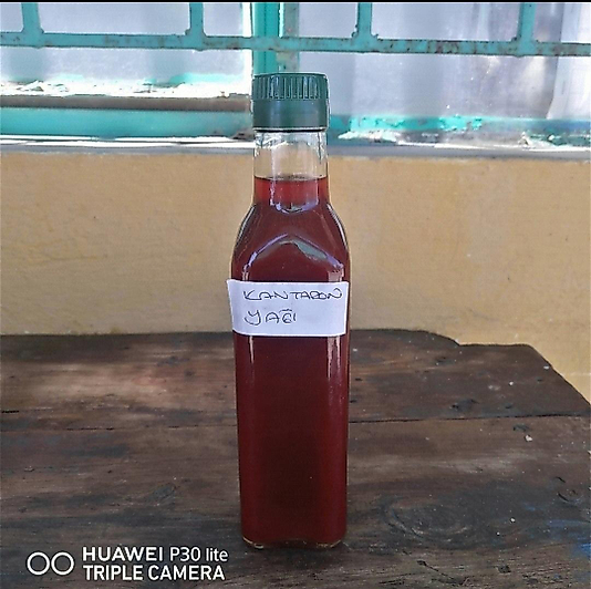 Kantaron Yağı 250 ml