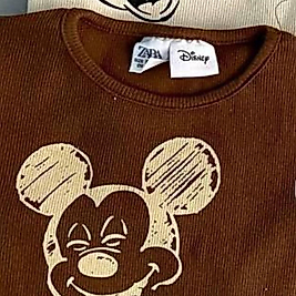 Fitilli Mickey Takım Kahverengi