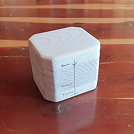 Silindirik Katı Şampuan Presi 100 ml