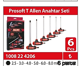 Cer-Pa prosoft allen anahtar seti 6 parça