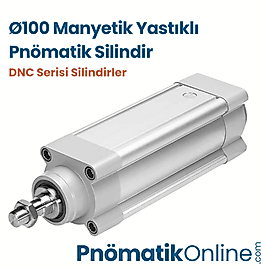 Ø100 Manyetik Yastıklı Pnömatik Silindir